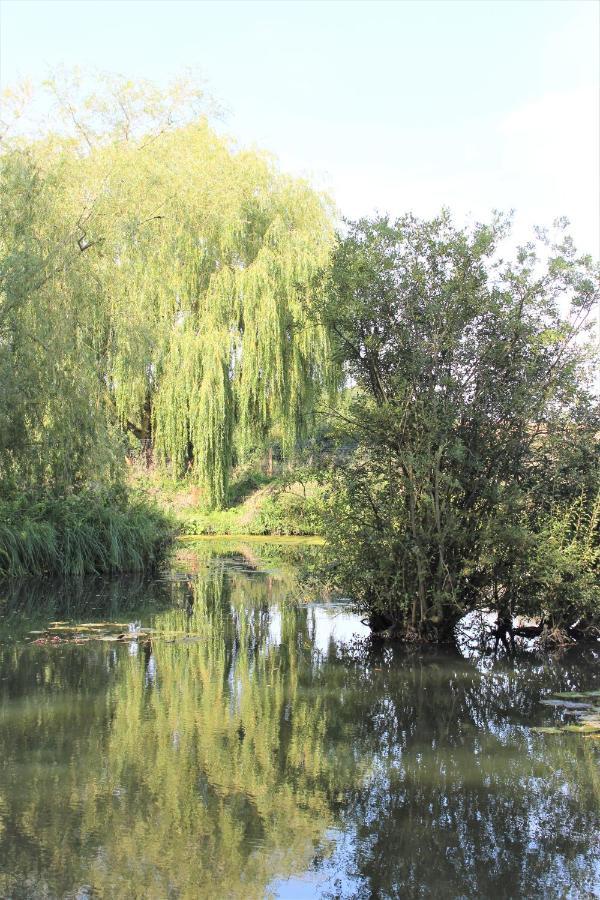 מלון Clare "George'S" Lakeside Wooden Tipi מראה חיצוני תמונה